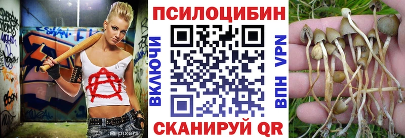 Псилоцибиновые грибы GOLDEN TEACHER  продажа наркотиков  Заинск 