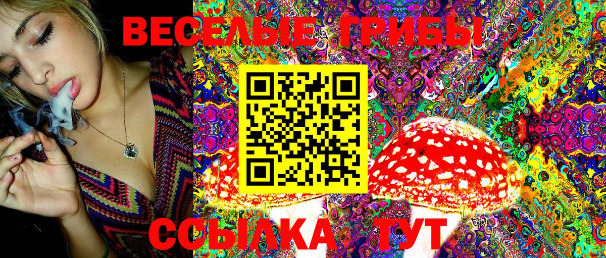 Галлюциногенные грибы Cubensis  Псилоцибиновые грибы MAGIC MUSHROOMS  Заинск  Вход с VPN 