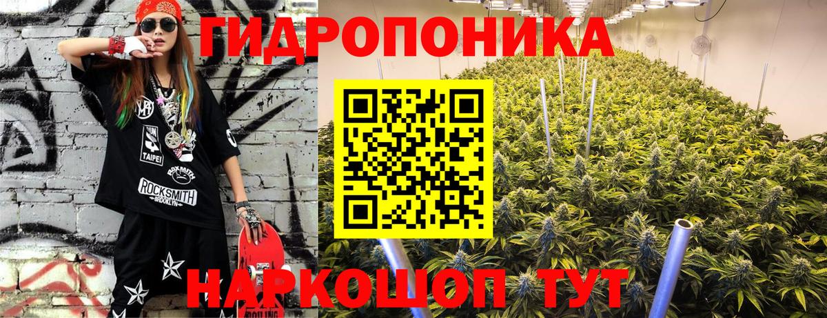 Заинск  Бошки марихуана SATIVA & INDICA  Вход с VPN  Шишки марихуана индика  Канабис сатива 